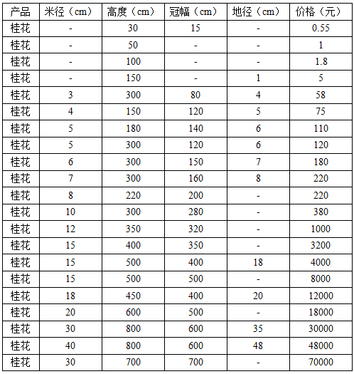 这是一张桂花树量少价涨 苗农切忌盲目跟风的配图