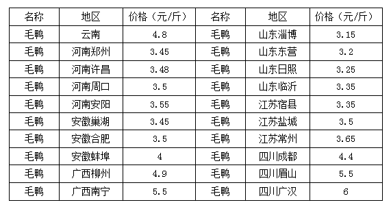 这是一张中元节有吃鸭传统 毛鸭购销两旺的配图 这是一张中元节有吃鸭传统 毛鸭购销两旺的配图