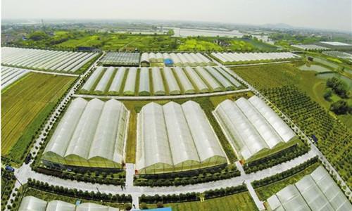 这是一张中央财政235亿元建设高标准农田的配图 这是一张中央财政235亿元建设高标准农田的配图