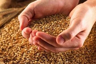 粮价走低 化肥市场遇“寒冬”